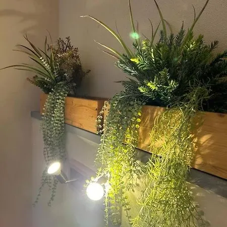 Apartment Borgo24 Family Vacation Florence *